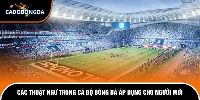 Các Thuật Ngữ Trong Cá Độ Bóng Đá Áp Dụng Cho Người Mới 4 các thuật ngữ trong cá độ bóng đá