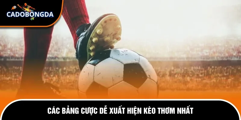 Cách Chọn Kèo Thơm Để Đặt Cược Hiệu Quả Và Dễ Thắng Nhất 3 Cách chọn kèo thơm để đặt cược