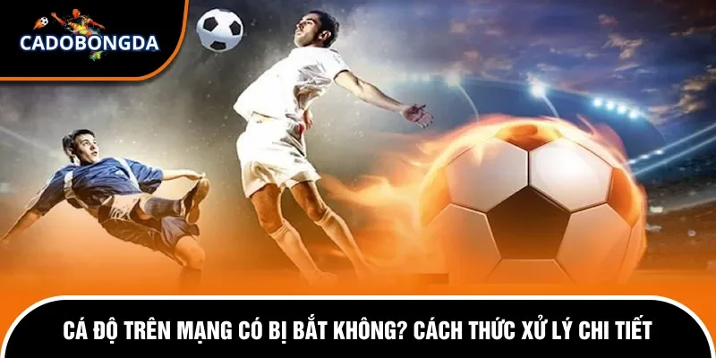 Cá Độ Trên Mạng Có Bị Bắt Không? Cách Thức Xử Lý Chi Tiết 15 Cá độ trên mạng có bị bắt không