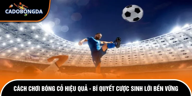Cách Chơi Bóng Cỏ Hiệu Quả - Bí Quyết Cược Sinh Lời Bền Vững 13 Cách chơi bóng cỏ hiệu quả.