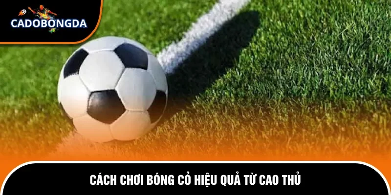Cách Chơi Bóng Cỏ Hiệu Quả - Bí Quyết Cược Sinh Lời Bền Vững 2 Cách chơi bóng cỏ hiệu quả lâu dài từ cao thủ.