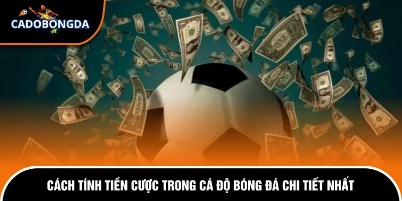 Cách Tính Tiền Cược Trong Cá Độ Bóng Đá Chi Tiết Nhất 1 Cách tính tiền cược trong cá độ bóng đá