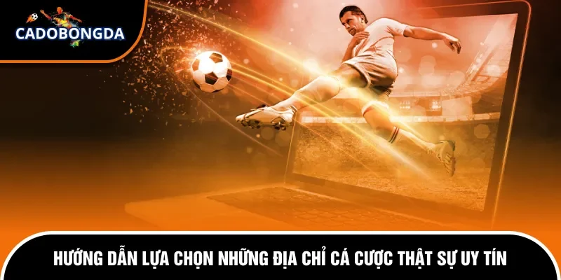 Cá Độ Trên Mạng Có Bị Bắt Không? Cách Thức Xử Lý Chi Tiết 3 Hướng dẫn tham gia địa chỉ cá độ trên mạng được yêu thích.