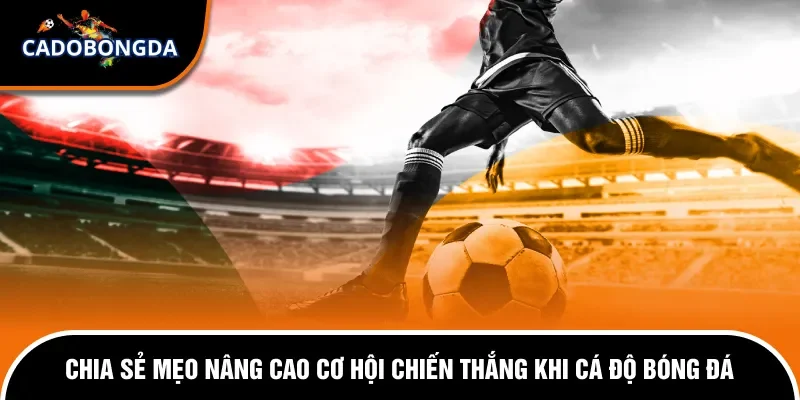Tại Sao Cá Độ Bóng Đá Luôn Thua Và Giải Đáp Chi Tiết  2 Mẹo chơi cá cược bóng đá newbie nên áp dụng