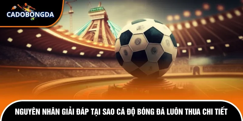 Tại Sao Cá Độ Bóng Đá Luôn Thua Và Giải Đáp Chi Tiết  1 Nguyên nhân tại sao cá độ bóng đá luôn thua cho newbie.