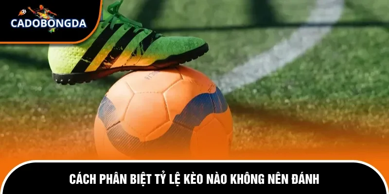 Những Loại Kèo Bóng Đá Nào Không Nên Đánh Trong Cá Độ 1 Nhận biết kèo dụ qua biến động và odds ảo