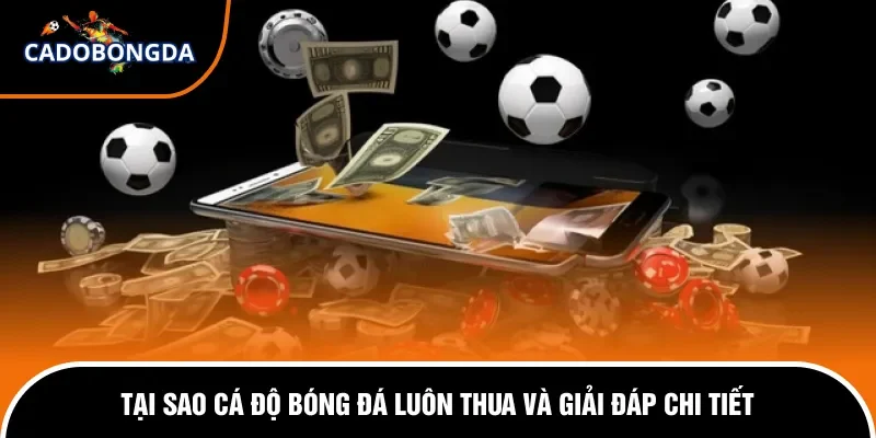 Tại Sao Cá Độ Bóng Đá Luôn Thua Và Giải Đáp Chi Tiết  11 Tại sao cá độ bóng đá luôn thua.